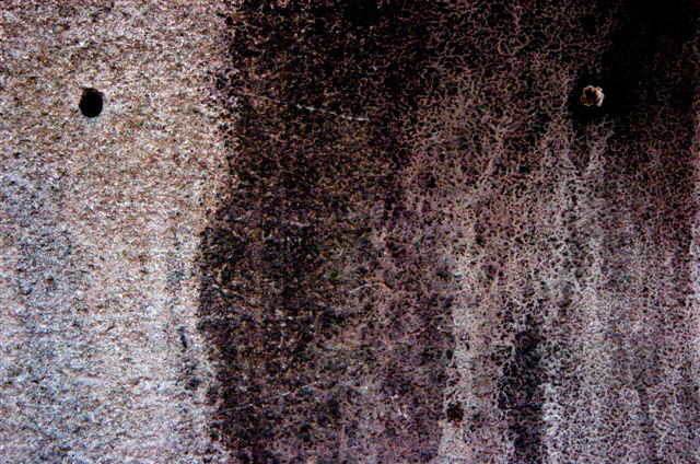 _DSC0162%20(1)