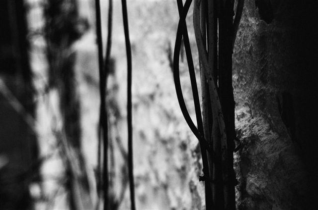 _DSC9821%20(1)