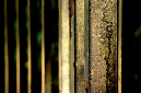 _DSC0037%20(1)