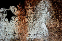 _DSC0041%20(1)