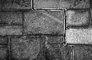 _DSC0050%20(1)