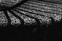 _DSC0054%20(1)