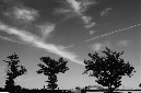 _DSC0071%20(1)