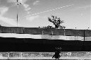 _DSC0077%20(1)