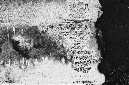_DSC0090%20(1)