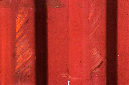 _DSC0095%20(1)