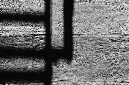_DSC0098%20(1)
