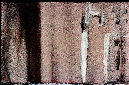 _DSC0107%20(1)
