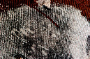 _DSC0118%20(1)