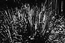 _DSC0127%20(1)
