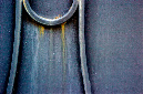 _DSC0131%20(1)