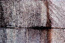 _DSC0157%20(1)