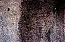 _DSC0162%20(1)