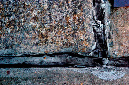 _DSC0164%20(1)