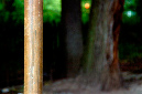 _DSC9752%20(1)