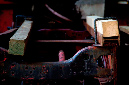 _DSC9804%20(1)