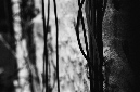 _DSC9821%20(1)