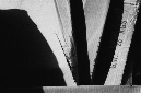 _DSC9836%20(1)