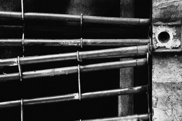 _DSC0257%20(1)