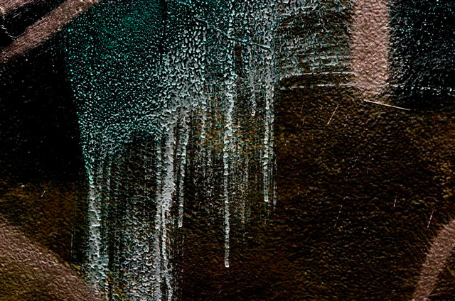 _DSC0270%20(1)