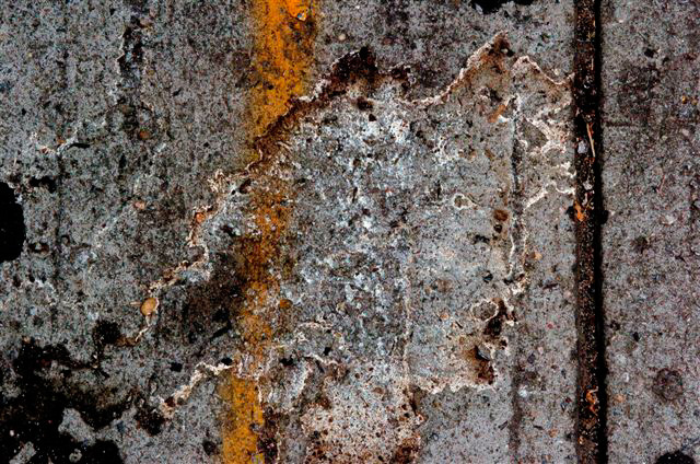 _DSC0301%20(1)
