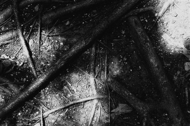 _DSC0327%20(1)