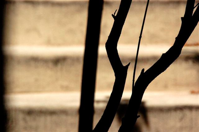 _DSC0364%20(1)