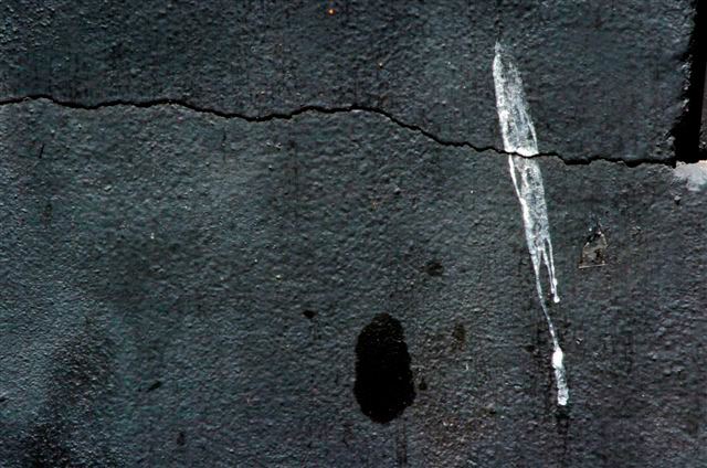 _DSC0389%20(1)