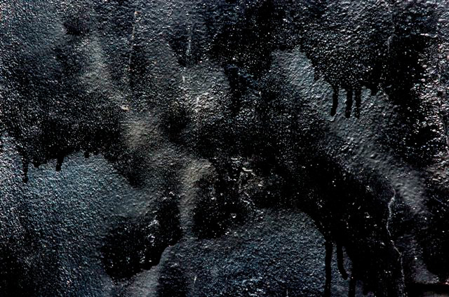_DSC0391%20(1)