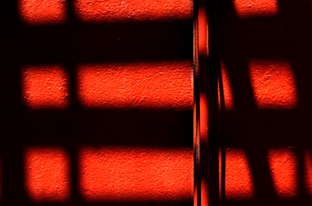 _DSC0429%20(1)