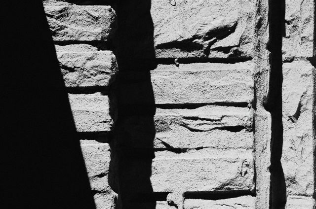 _DSC0437%20(1)