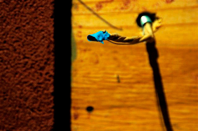 _DSC0438%20(1)
