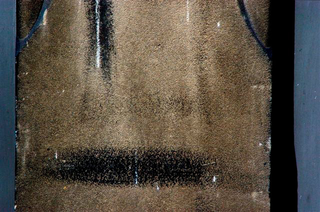 _DSC0450%20(1)