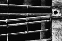 _DSC0257%20(1)
