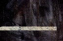 _DSC0262%20(1)