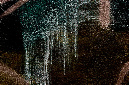 _DSC0270%20(1)
