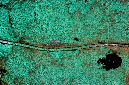 _DSC0274%20(1)