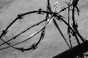 _DSC0285%20(1)