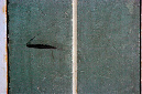 _DSC0290%20(1)