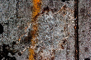 _DSC0301%20(1)