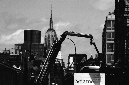 _DSC0305%20(1)