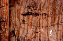 _DSC0318%20(1)
