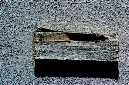 _DSC0333%20(1)