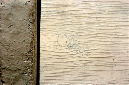 _DSC0335%20(1)