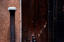_DSC0345%20(1)
