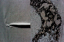 _DSC0346%20(1)