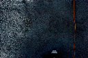 _DSC0349%20(1)
