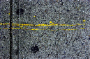 _DSC0355%20(1)