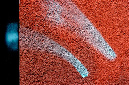 _DSC0368%20(1)