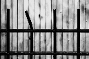 _DSC0374%20(1)